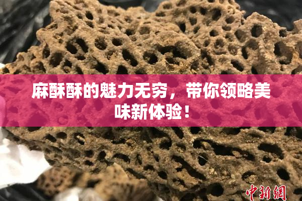 麻酥酥的魅力无穷，带你领略美味新体验！