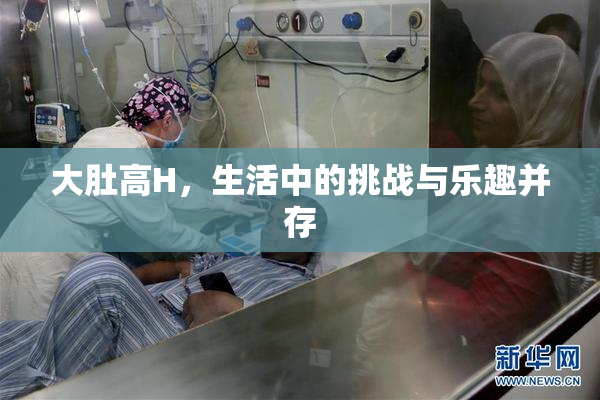 大肚高H，生活中的挑战与乐趣并存