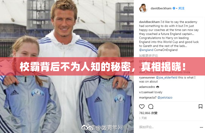 校霸背后不为人知的秘密，真相揭晓！