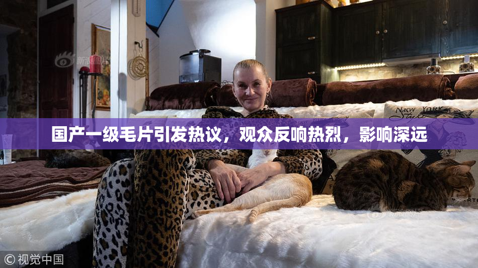 国产一级毛片引发热议，观众反响热烈，影响深远