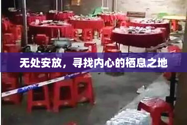 无处安放，寻找内心的栖息之地