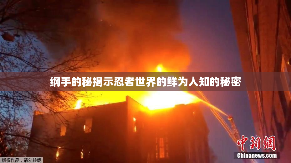 纲手的秘揭示忍者世界的鲜为人知的秘密