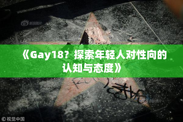 《Gay18？探索年轻人对性向的认知与态度》