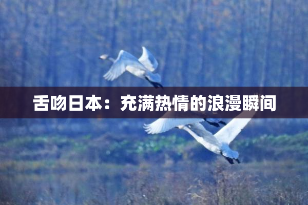 舌吻日本：充满热情的浪漫瞬间