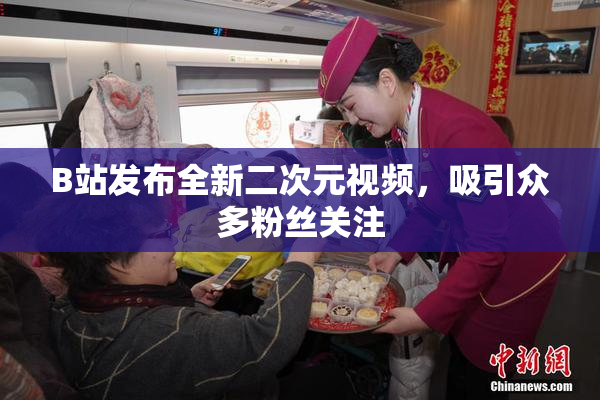 B站发布全新二次元视频，吸引众多粉丝关注
