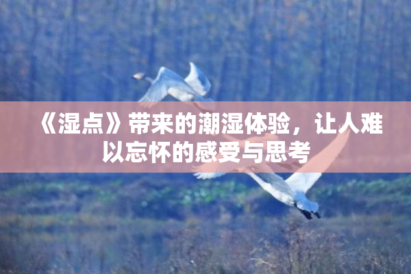《湿点》带来的潮湿体验，让人难以忘怀的感受与思考