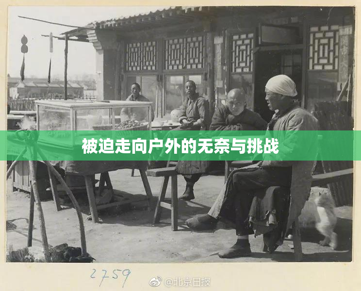 被迫走向户外的无奈与挑战