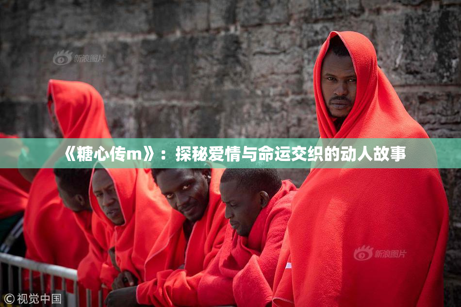 《糖心传m》：探秘爱情与命运交织的动人故事