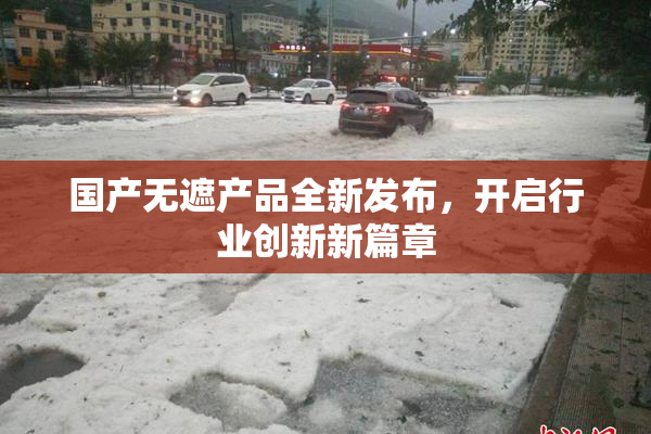 国产无遮产品全新发布，开启行业创新新篇章