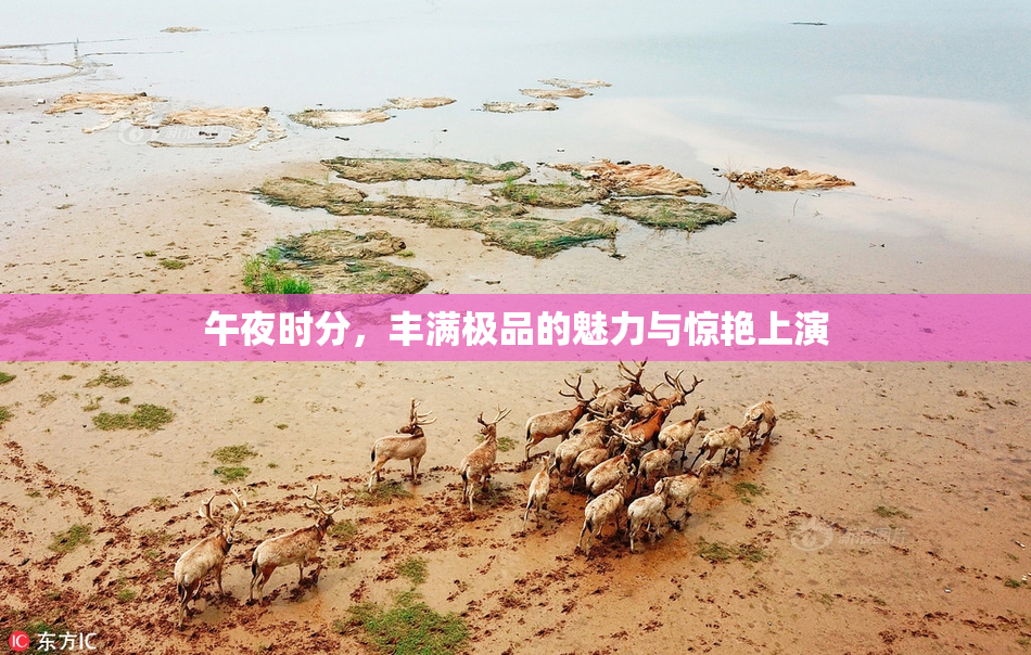 午夜时分，丰满极品的魅力与惊艳上演