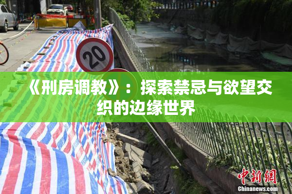 《刑房调教》：探索禁忌与欲望交织的边缘世界