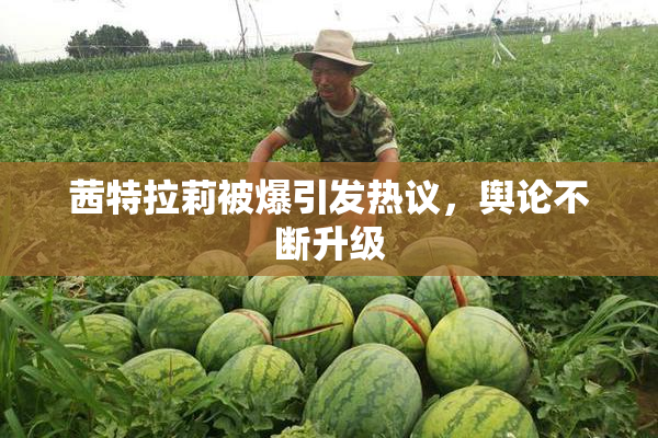 茜特拉莉被爆引发热议，舆论不断升级