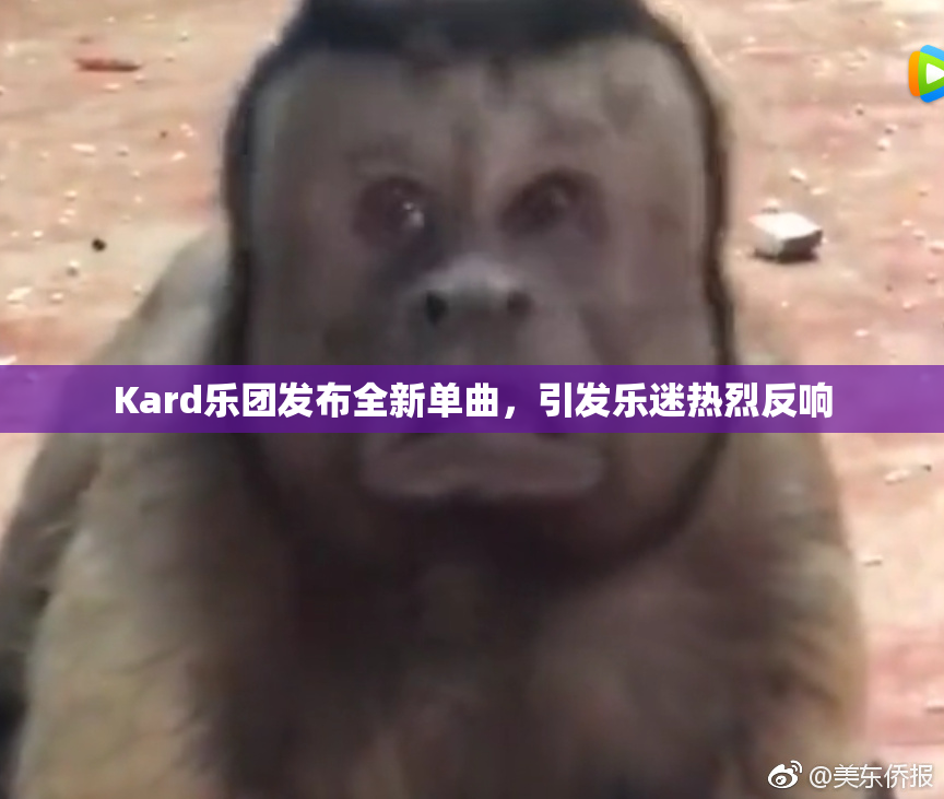 Kard乐团发布全新单曲，引发乐迷热烈反响