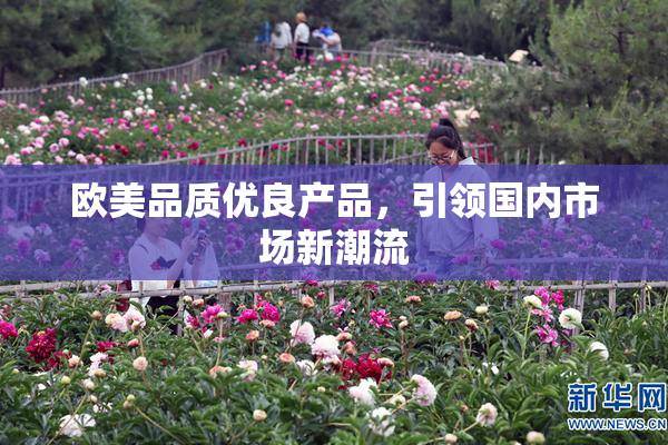 欧美品质优良产品，引领国内市场新潮流