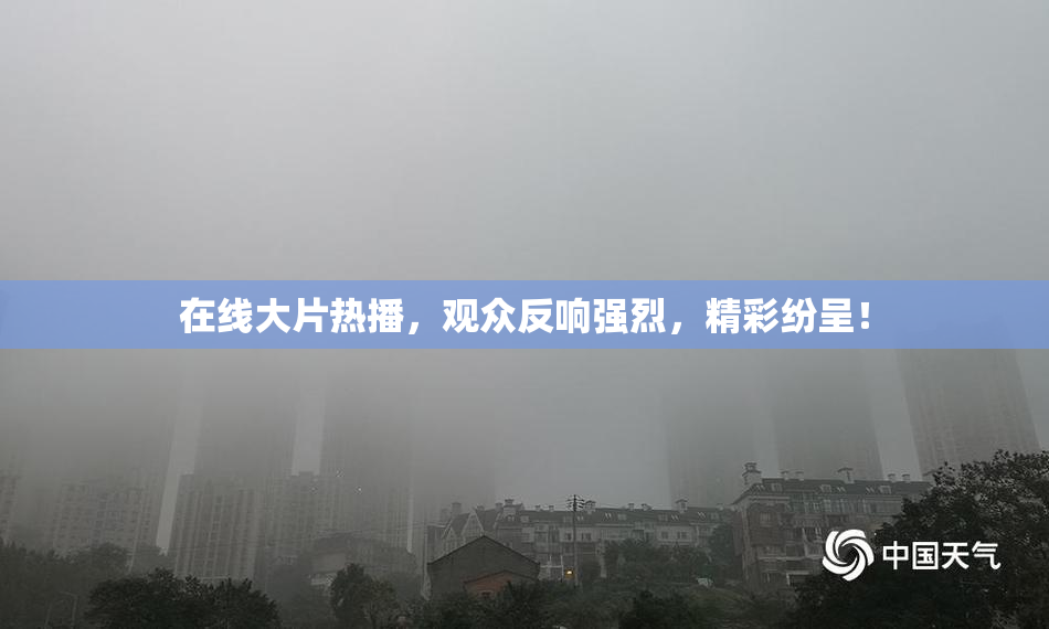 在线大片热播，观众反响强烈，精彩纷呈！