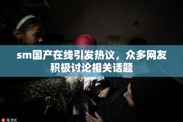 sm国产在线引发热议，众多网友积极讨论相关话题