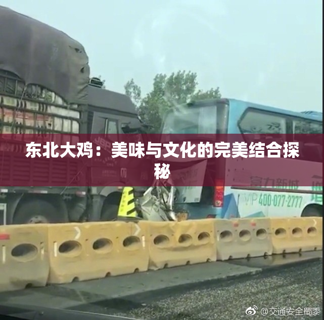 东北大鸡：美味与文化的完美结合探秘
