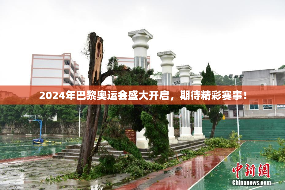 2024年巴黎奥运会盛大开启，期待精彩赛事！