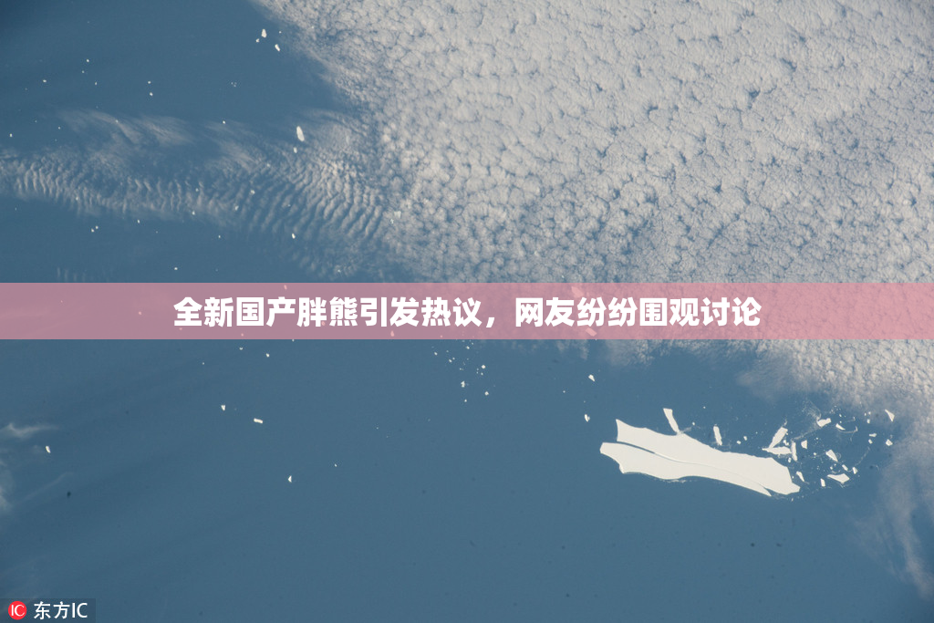 全新国产胖熊引发热议，网友纷纷围观讨论