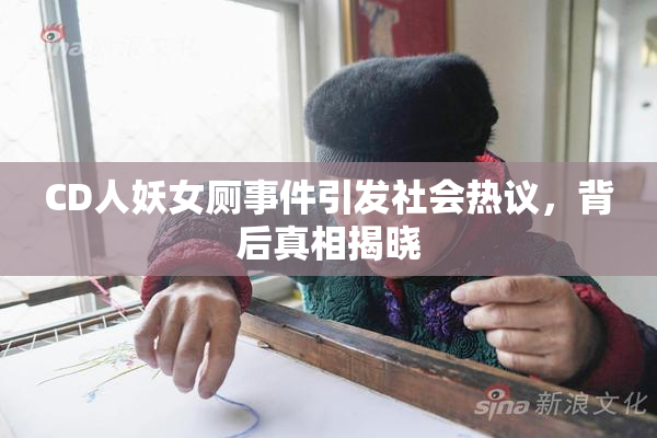 CD人妖女厕事件引发社会热议，背后真相揭晓