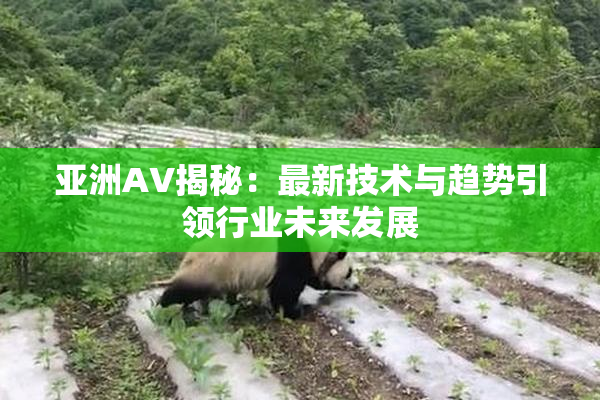 亚洲AV揭秘：最新技术与趋势引领行业未来发展