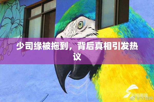 少司缘被拖到，背后真相引发热议