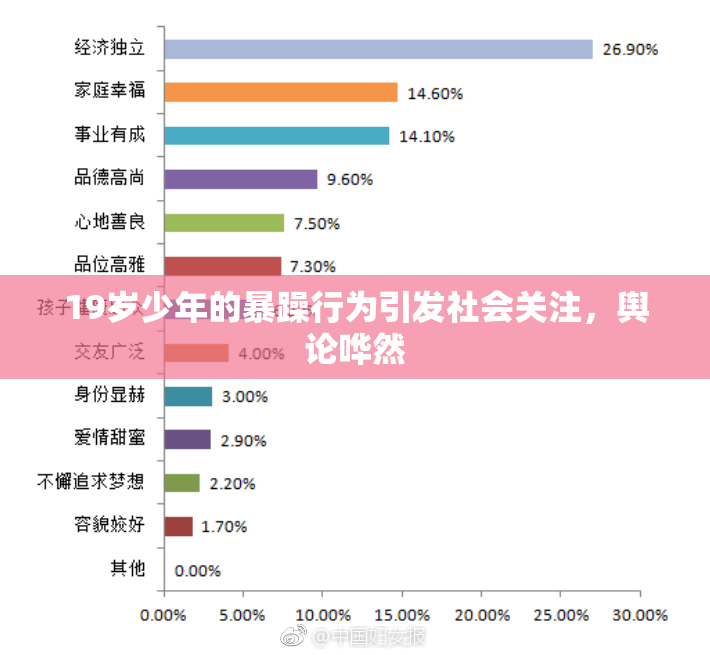 19岁少年的暴躁行为引发社会关注，舆论哗然
