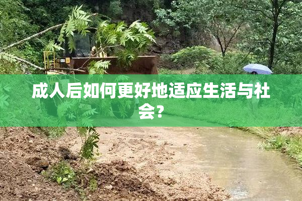 成人后如何更好地适应生活与社会？