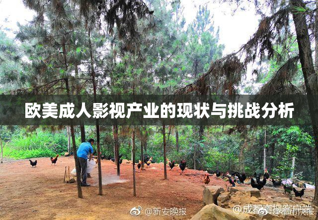 欧美成人影视产业的现状与挑战分析