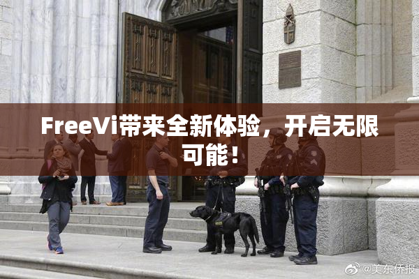 FreeVi带来全新体验，开启无限可能！
