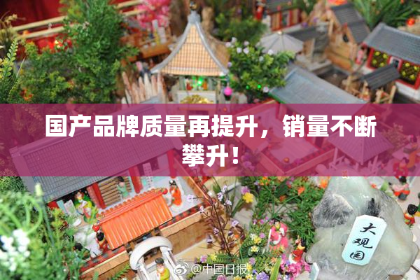 国产品牌质量再提升，销量不断攀升！