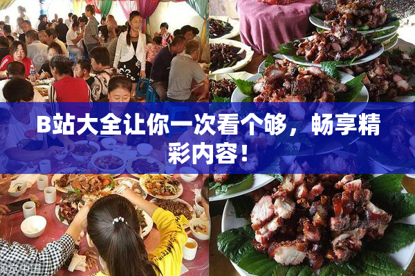 B站大全让你一次看个够，畅享精彩内容！