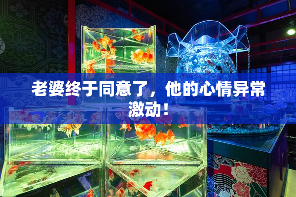 老婆终于同意了，他的心情异常激动！