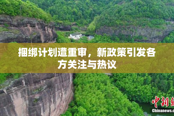 捆绑计划遭重审，新政策引发各方关注与热议