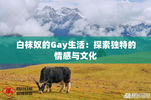 白袜奴的Gay生活：探索独特的情感与文化
