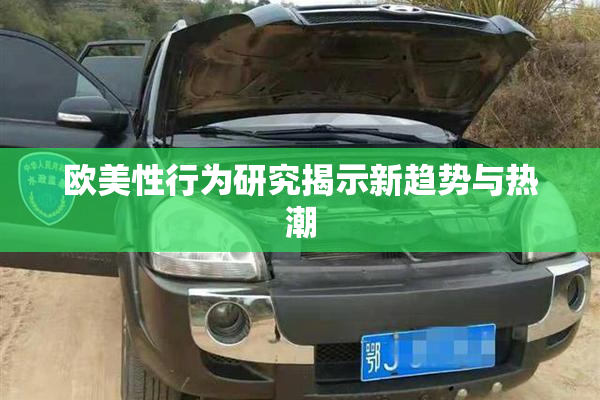 欧美性行为研究揭示新趋势与热潮