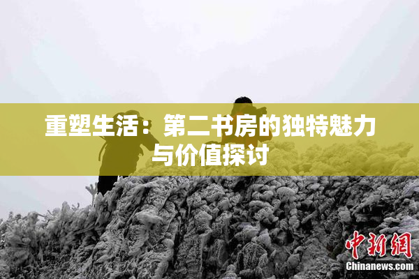 重塑生活：第二书房的独特魅力与价值探讨