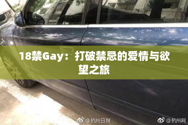 18禁Gay：打破禁忌的爱情与欲望之旅