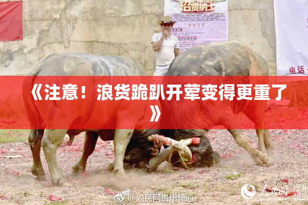 《注意！浪货跪趴开荤变得更重了》