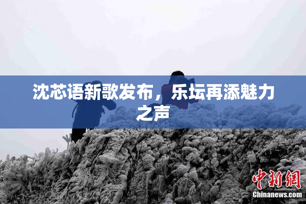 沈芯语新歌发布，乐坛再添魅力之声