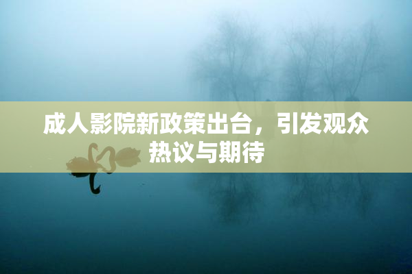 成人影院新政策出台，引发观众热议与期待