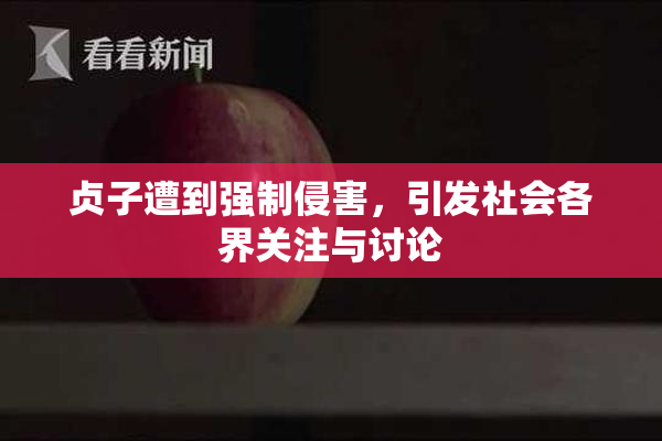 贞子遭到强制侵害，引发社会各界关注与讨论