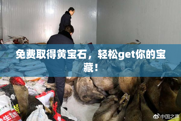 免费取得黄宝石，轻松get你的宝藏！