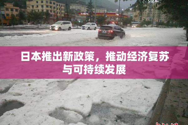 日本推出新政策，推动经济复苏与可持续发展
