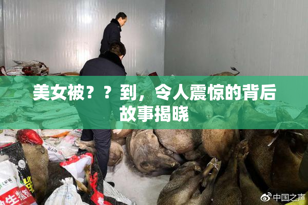 美女被？？到，令人震惊的背后故事揭晓