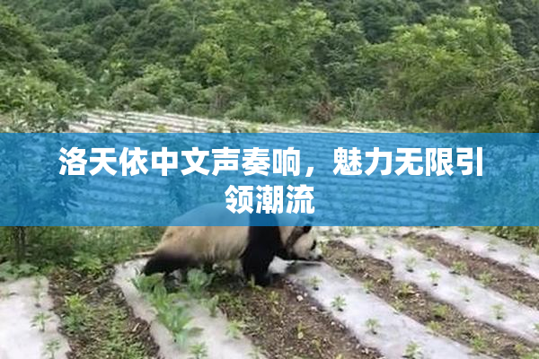 洛天依中文声奏响，魅力无限引领潮流