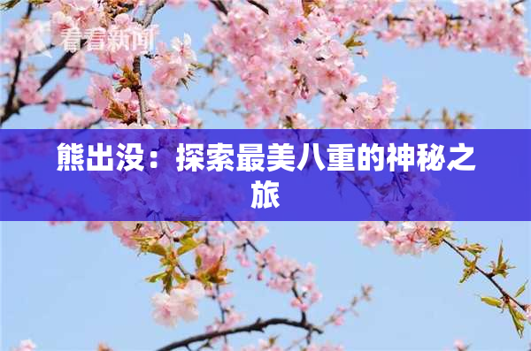 熊出没：探索最美八重的神秘之旅