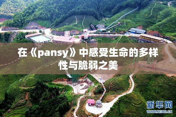 在《pansy》中感受生命的多样性与脆弱之美