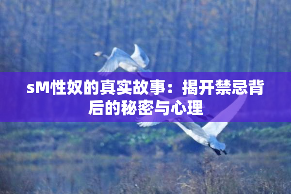 sM性奴的真实故事：揭开禁忌背后的秘密与心理