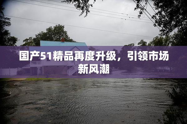 国产51精品再度升级，引领市场新风潮